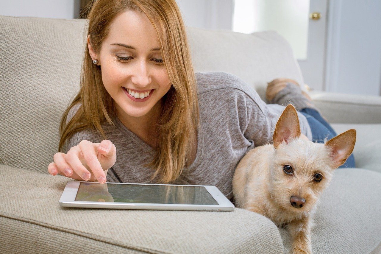 tablet, living room, dog